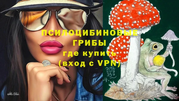 герыч Арсеньев
