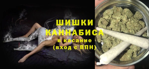 стаф Балахна